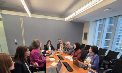 وزيرة التخطيط والتعاون الدولي تبحث مع مؤسسة التمويل الدولية تعزيز الشراكة مع القطاع الخاص ودعم قطاع الكهرباء